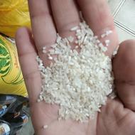 فروش برنج طارم ،طارم هاشمی و سرلاشه طارم هاشمی