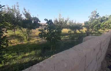 فروش 2000متر زمین زراعی