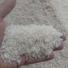 برنج فجر 255 ت طارم هاشمی 330ت سرلاشه 200 ت