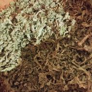 پونه کوهی برگ