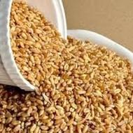 خرید گندم دیم