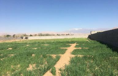 زمین کشاورزی تفریحی چسبیده به شهر