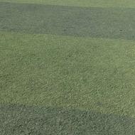 چمن مصنوعی دسته دوم