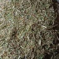 فروش کاه کلش دامی روغنی لوبیا خارشتر ، خوراک گاو٫گوسفند