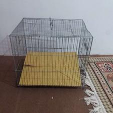 قفس عالی سالم به شرط