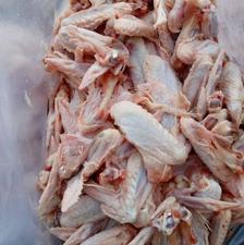 اسکلت مرغ بال مرغ/ مناسب غذای سگ و گربه