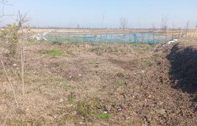 زمین صیفی کاری با استعلام منابع طبیعی