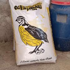 دان سپهر دانه مخصوص بلدرچین