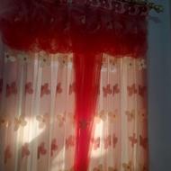 چهار عدد پرده نو و تمیز دو عدد برای پذیرایی