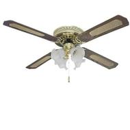 پنکه هم گرما و هم سرما و لوستر