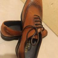 کفش برند برلوتی/ مدل بروگ
