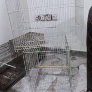 قفس بزرگ 3عدد+2عدد قفس سنگین متوسط