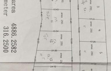 باغ مرکبات بسیار عالی