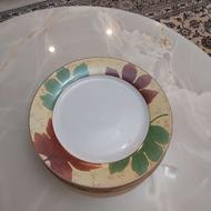 بشقاب پلوخوری طرح برگ پاییزی