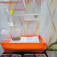 مرغ عشق با قفس