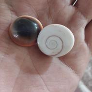 مهره مار اصل خر مهره استخوانی اصل