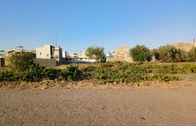 باغ سنتی انگور