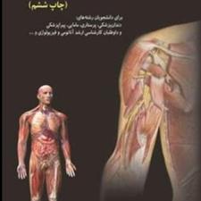 آناتومی انسانی پایه