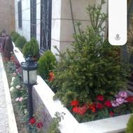 باغبانی وفضای سبز کاشت گل تعویض خاک گلدان باغبان تهران درمحل