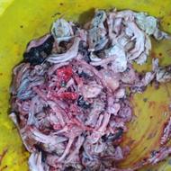 غذای حیوانات خانگی