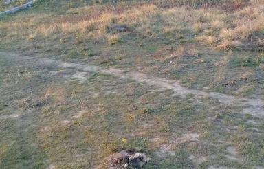 200‌متر‌زمین‌به‌فروش‌می‌رسد