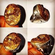 مهره مار اصل گردنی