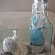 اکواریوم خانگی کوچک