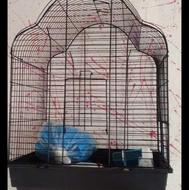 قفس طوطی هلندی