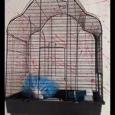 قفس طوطی هلندی