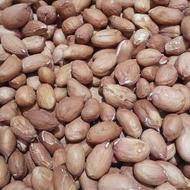 بادام زمینی فروشی