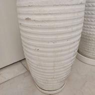 گلدان سالم وسفیدرنگ