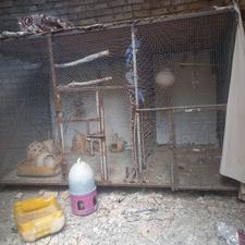قفس 2متردر1،10 فروشی