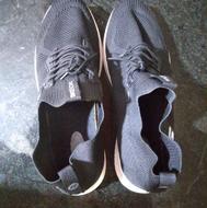 کفش نپوشید و راحت