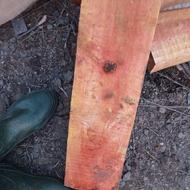 چوب توسکا برای مبل