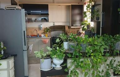 اجاره آپارتمان 85 متر در پل هوایی