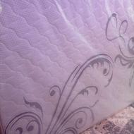 تشک تبی از نو دکتر لایف