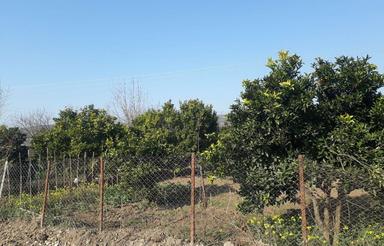 فروش ویژه زمین 216 متر