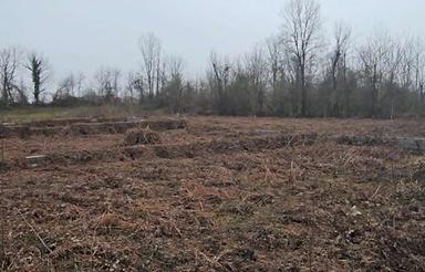 فروش زمین داخلطرح 300 متر در مالفجان