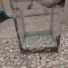 آکواریوم سالم