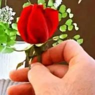 نگهداری فضای سبز منزل ویلای شما