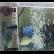 15عدد ماهی اسم ماهی هارا در توضیحات نوشتم جدا هم فروش میرسه