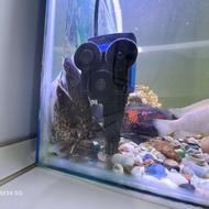 اکواریوم شیشه خم با جزیاتش