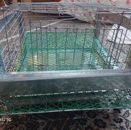 یک قفس مینی بلدرچین نو ، مونتاژ شده و آماده