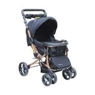 کالسکه و ساک