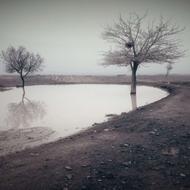 زمین 135 متری در باغ تبریزی