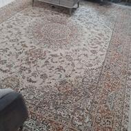 فرش 12متری و 6متری