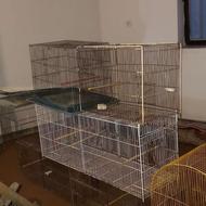 تعدادی قفس پرنده