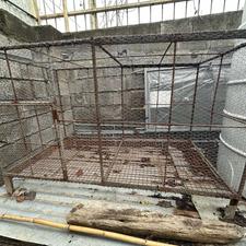 قفس جوجه آماده