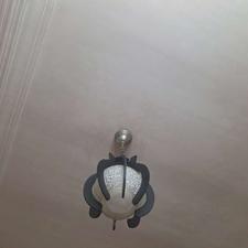 لستر کریستال و جوبی