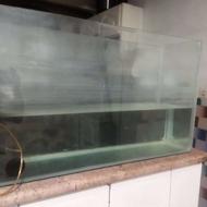 شیشه اکواریوم